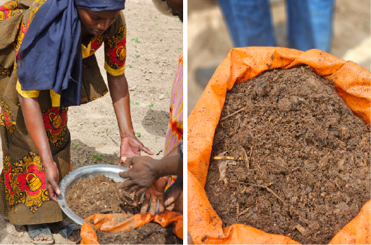 Actualité Agro Sénégalaise